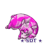 Easter Curlwool 4-2026