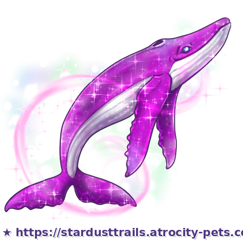 Astrocetus Stage 4