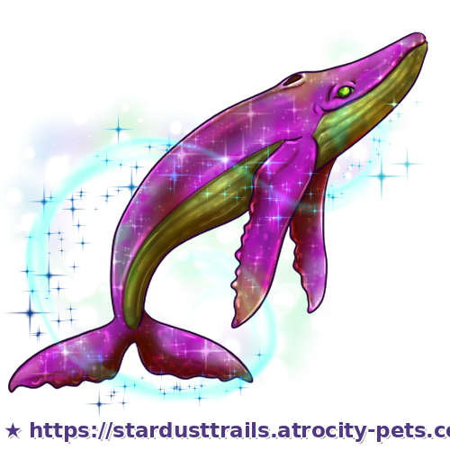 Astrocetus Stage 4