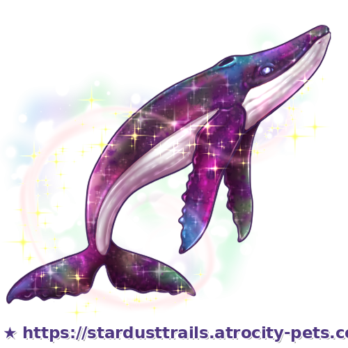Astrocetus Stage 4