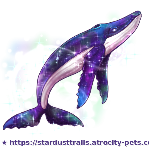 Astrocetus Stage 4