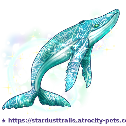 Astrocetus Stage 4