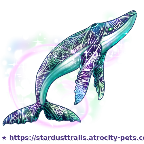 Astrocetus Stage 4
