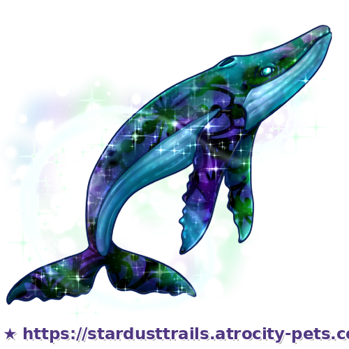 Astrocetus Stage 4