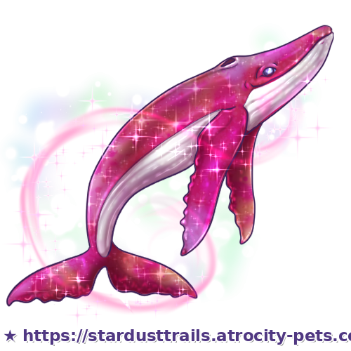 Astrocetus Stage 4