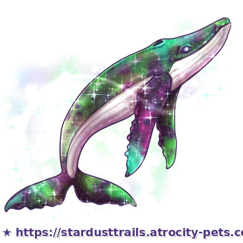 Astrocetus Stage 4