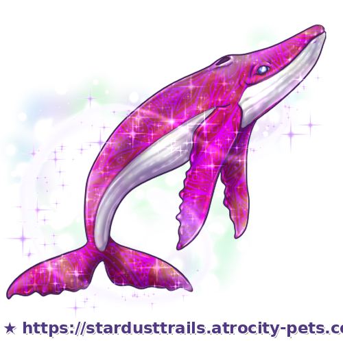 Astrocetus Stage 4